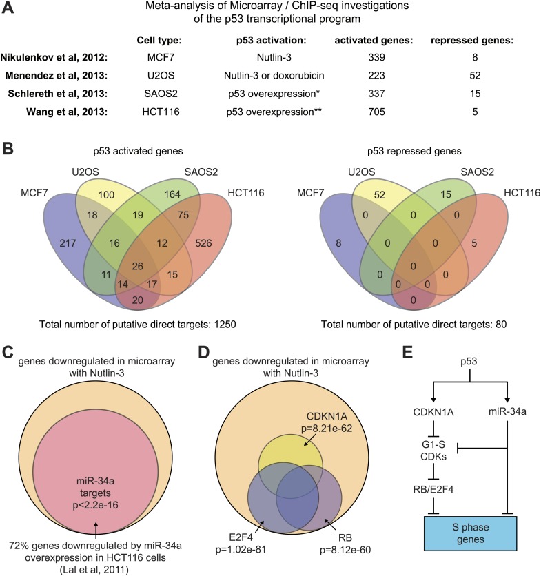 Figure 2—figure supplement 1.