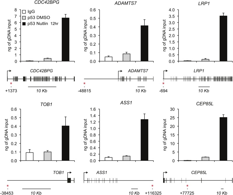 Figure 2—figure supplement 2.