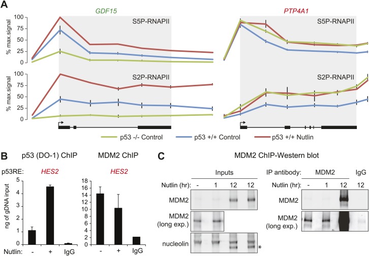 Figure 3—figure supplement 1.