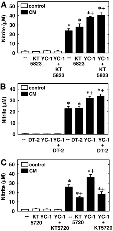 Fig. 10.