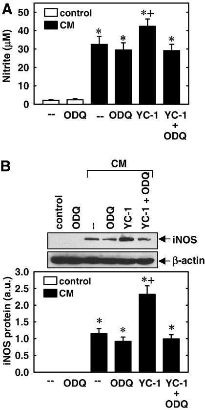 Fig. 8.