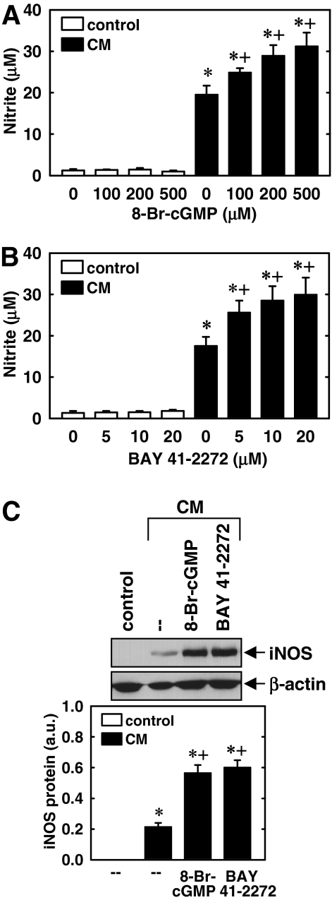 Fig. 9.