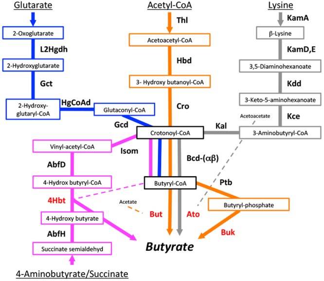 FIG 1 