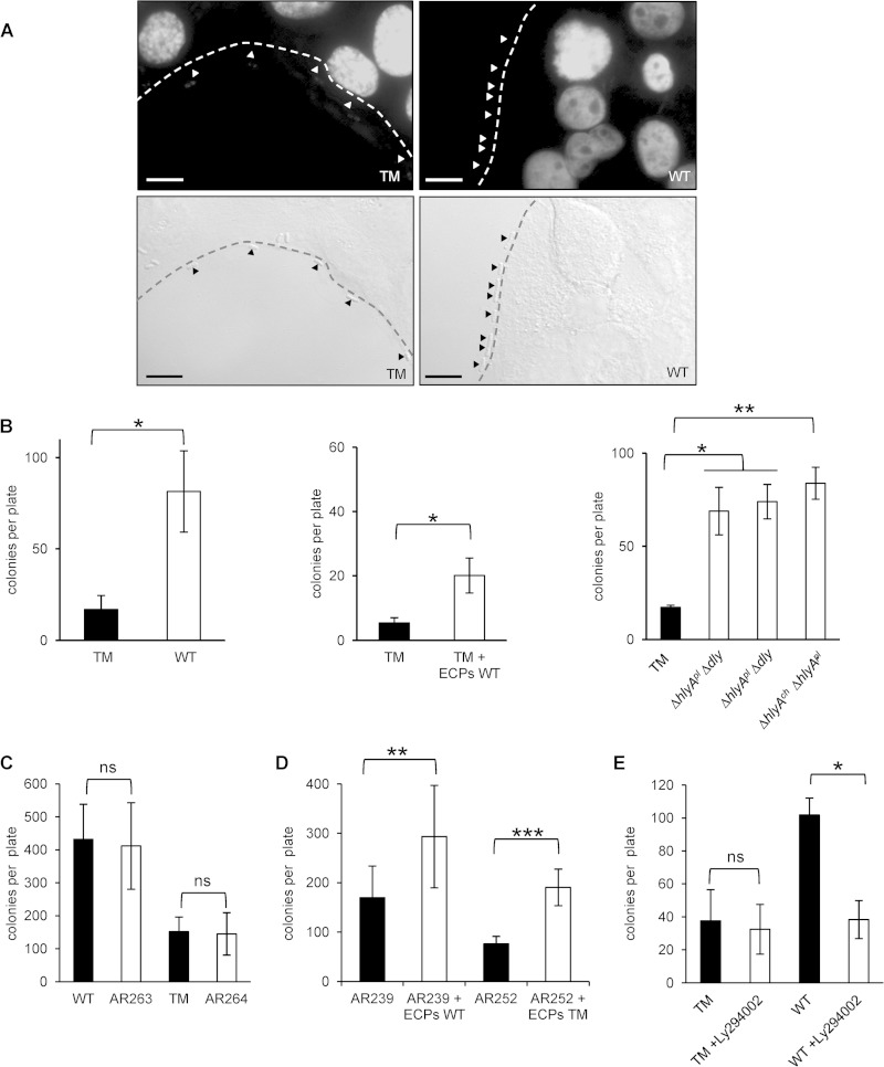 FIG 6