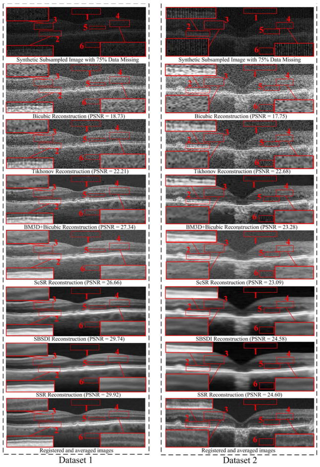 Fig. 8