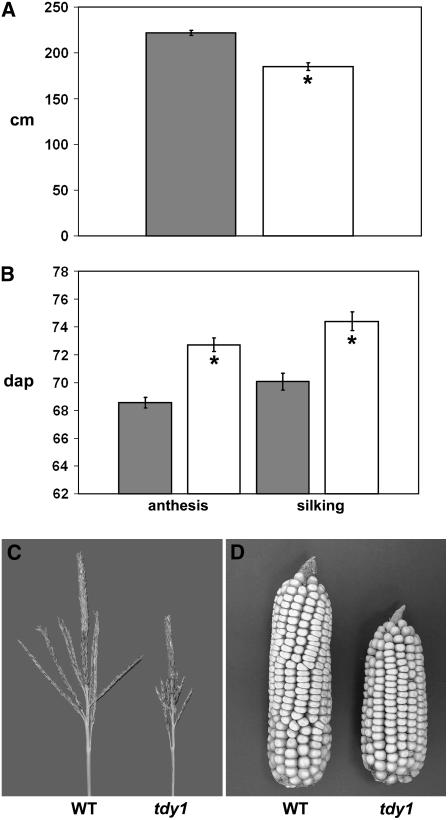 Figure 9.