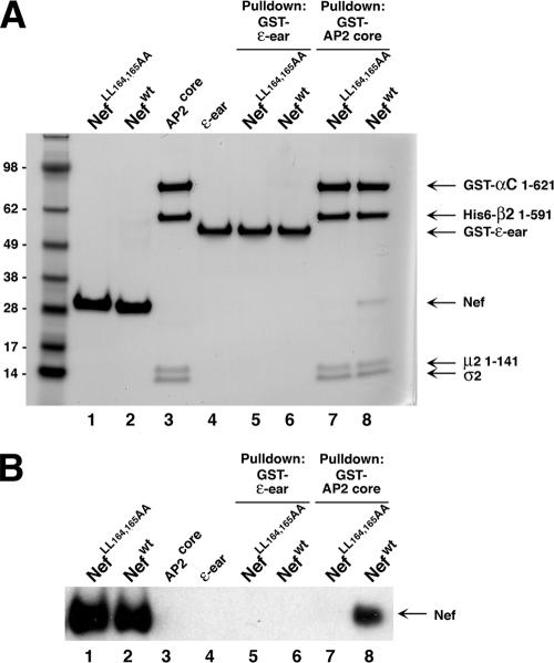 FIG. 10.