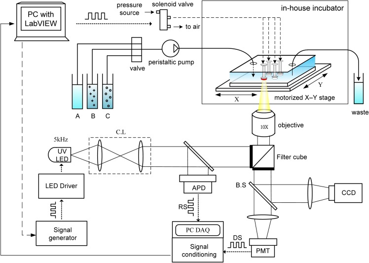 FIG. 2.