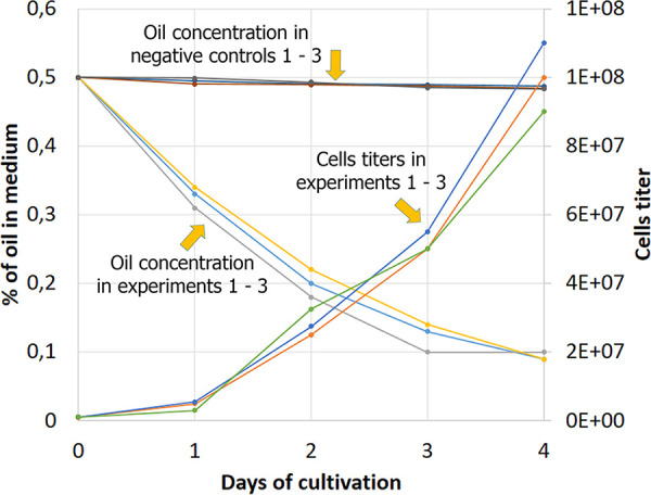 FIG 1