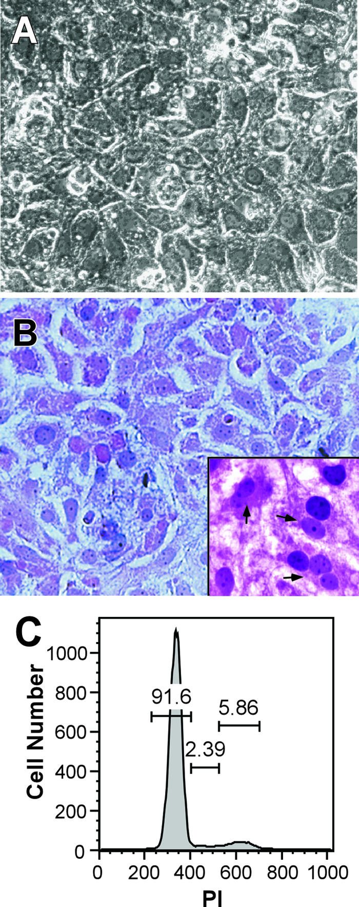 FIG. 1.