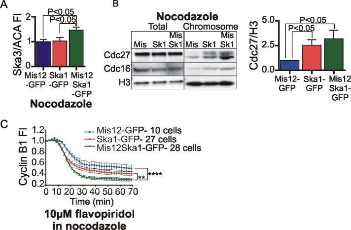 FIGURE 6: