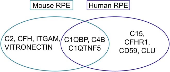 Fig 5