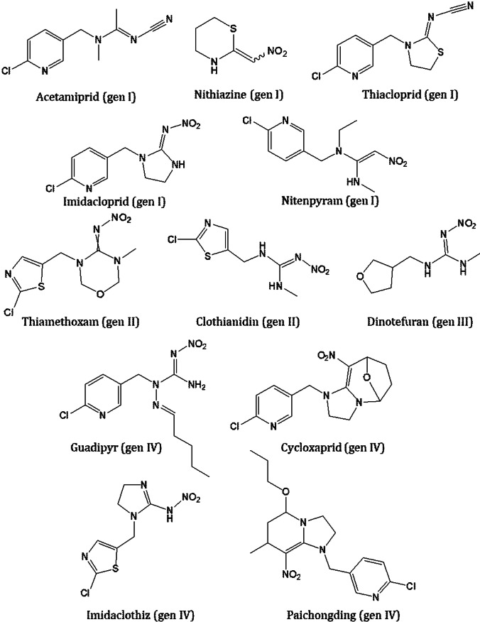 Fig. 1