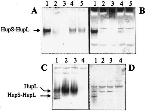 FIG. 5.