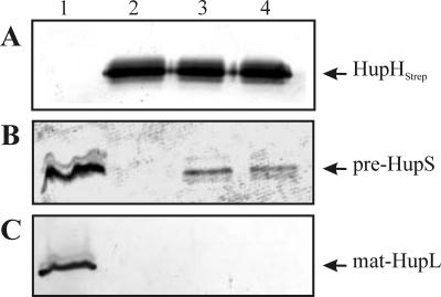 FIG. 7.