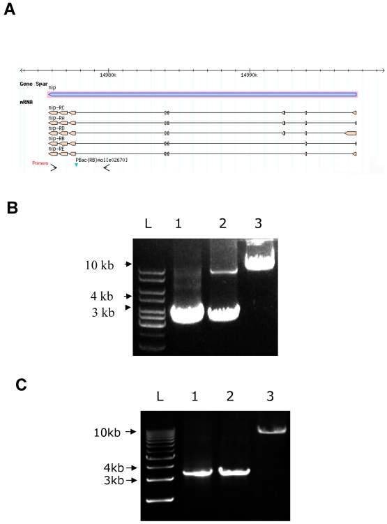 Figure S1