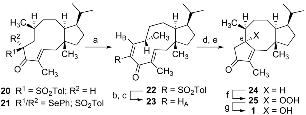 Scheme 3