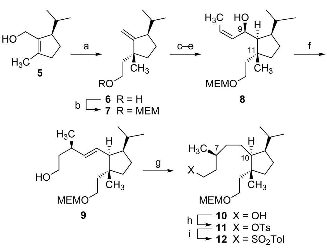 Scheme 1