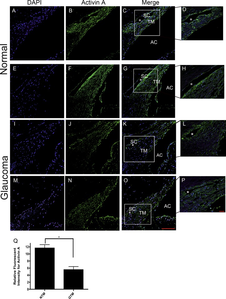 
Figure 10. 
