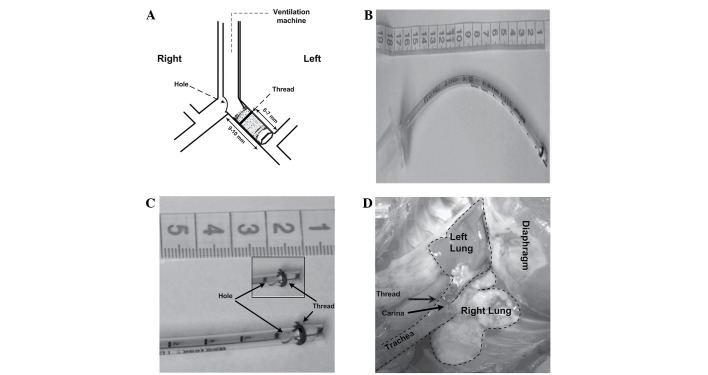 Figure 2.