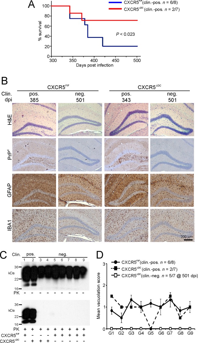 FIG 6