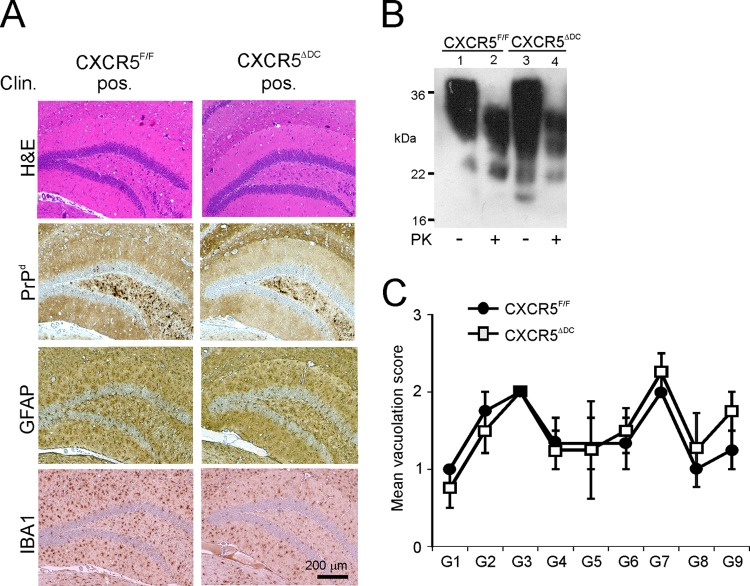 FIG 8