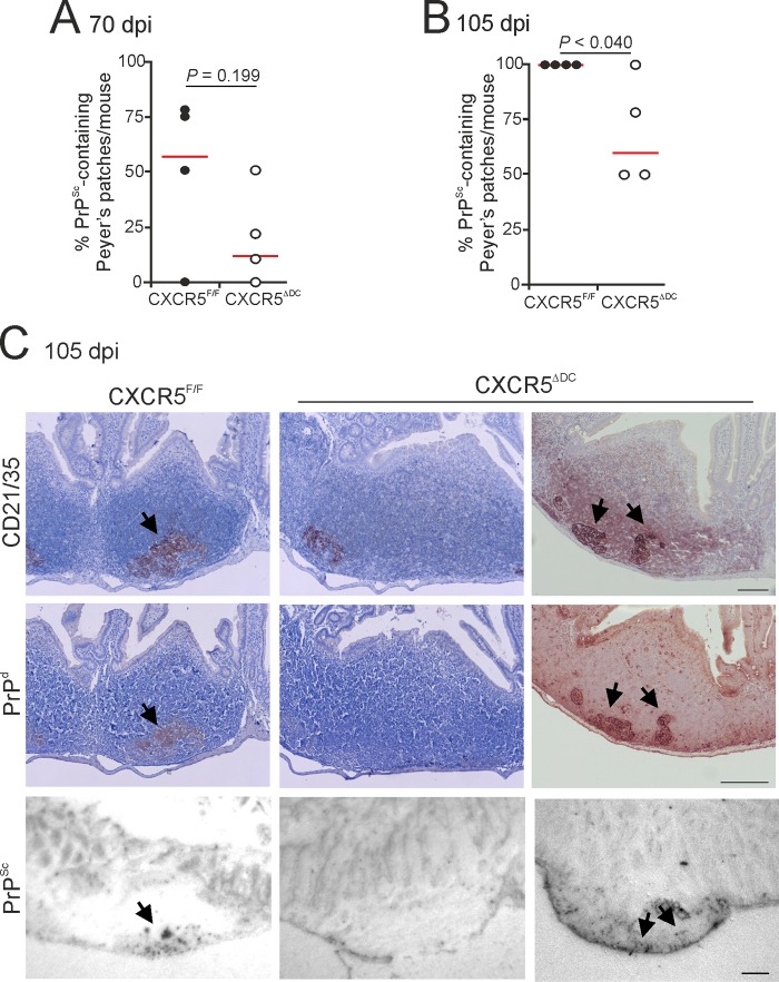 FIG 4