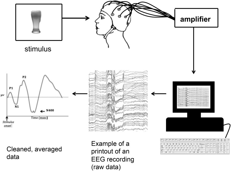 Fig. 1