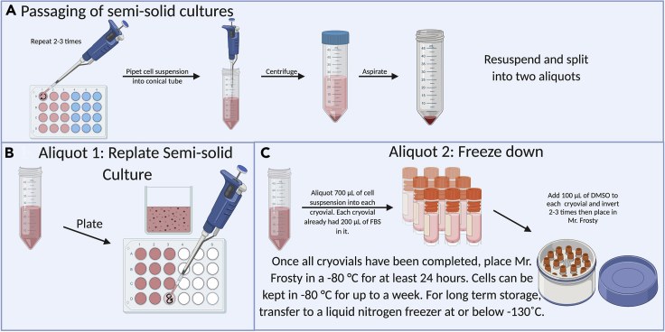 Figure 3