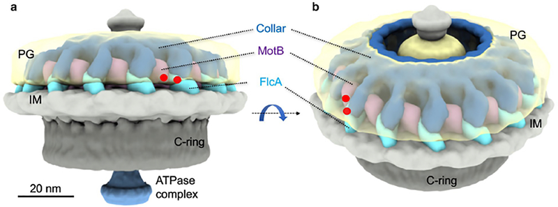 Figure 6.