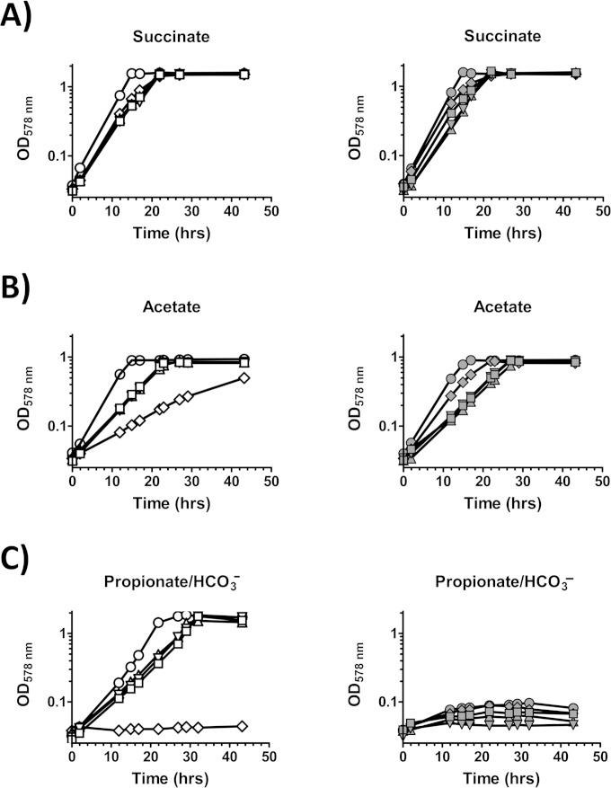 FIG 4