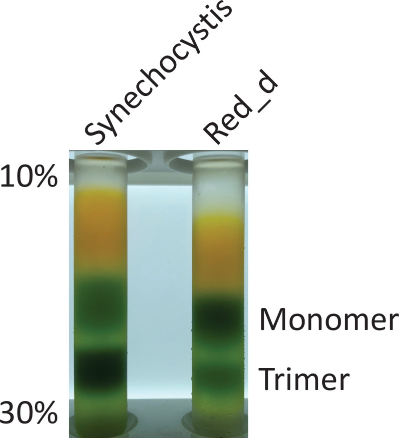 Figure 4—figure supplement 1.