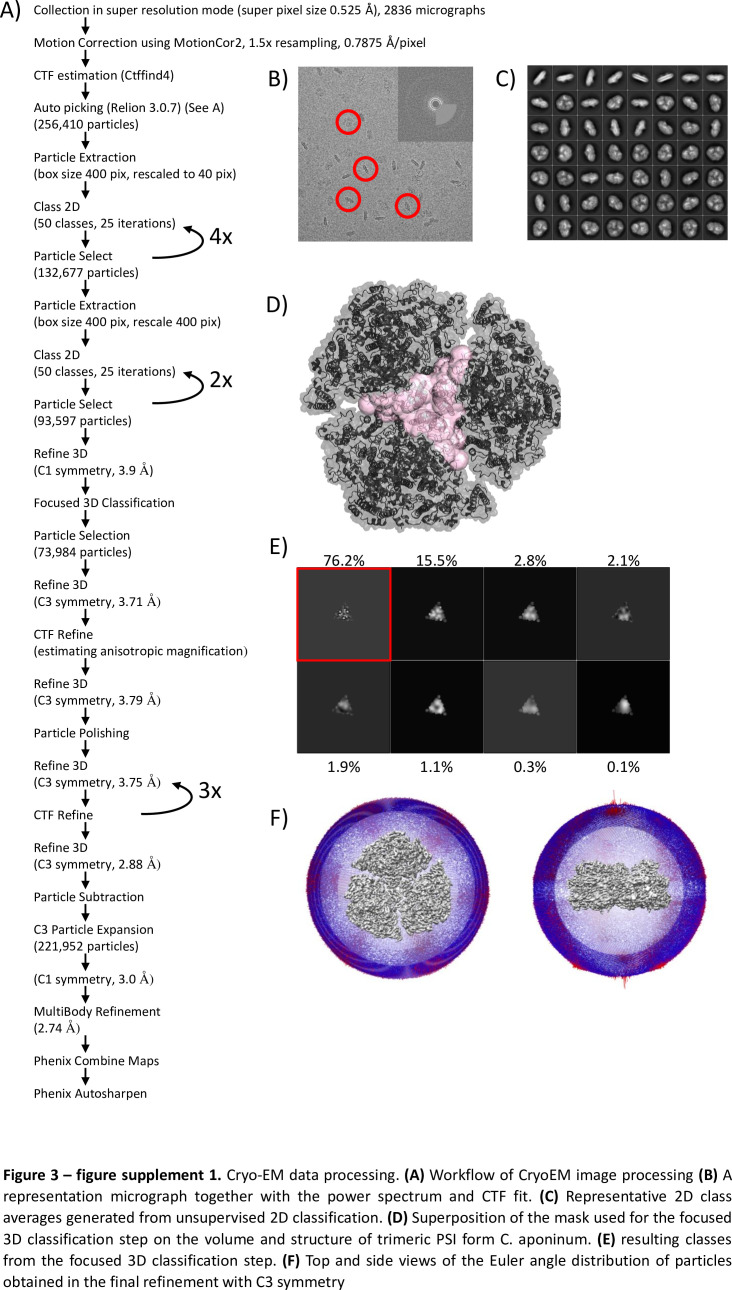 Figure 3—figure supplement 1.