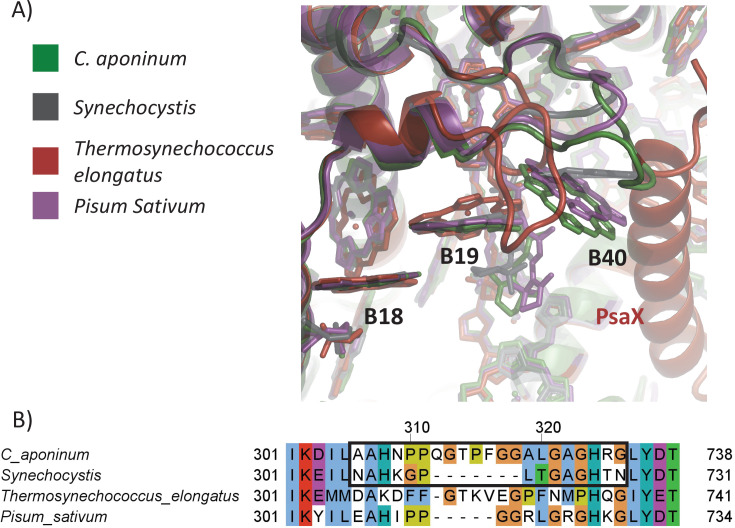 Figure 3—figure supplement 3.