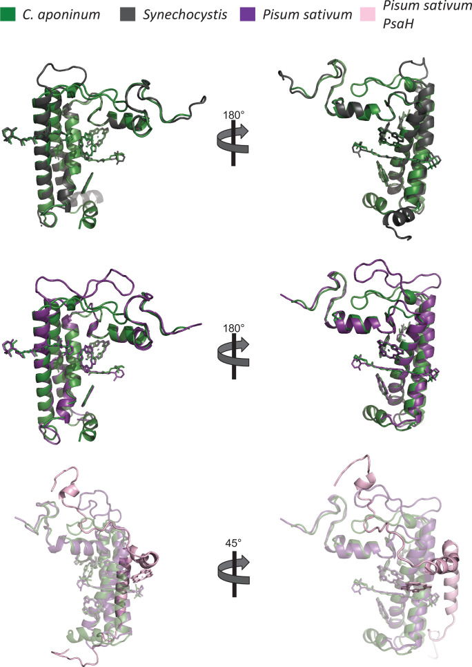 Figure 3—figure supplement 4.