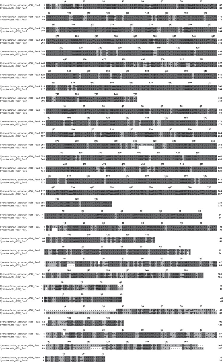 Figure 2—figure supplement 1.