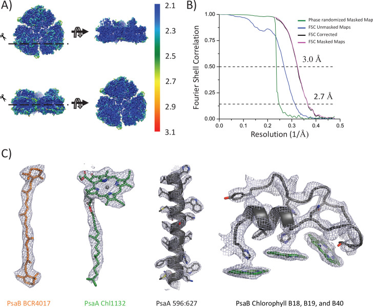 Figure 3—figure supplement 2.