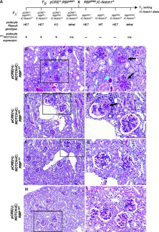 Figure 9.