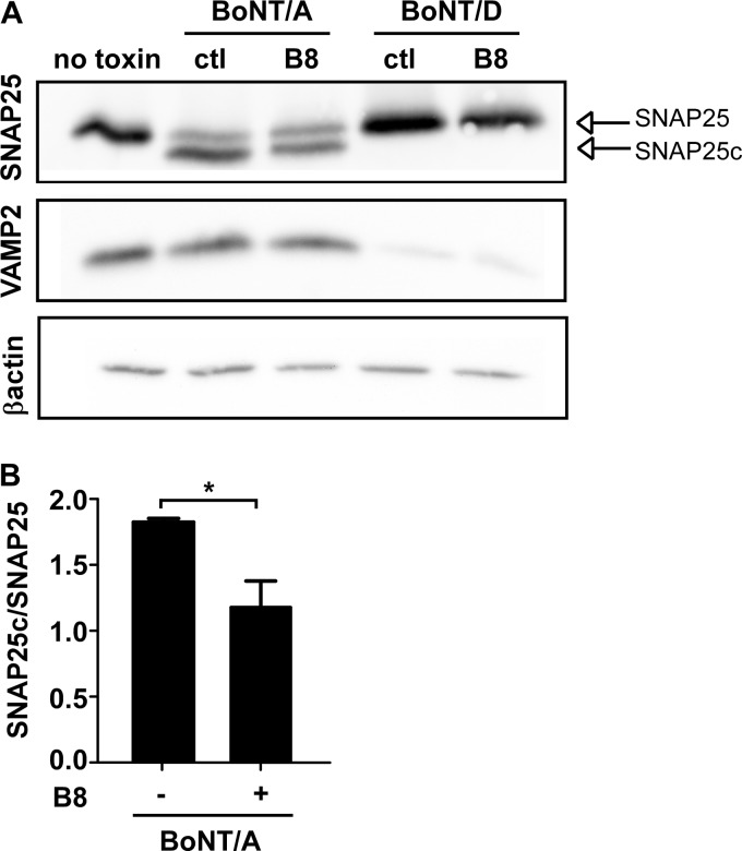 FIG 8 