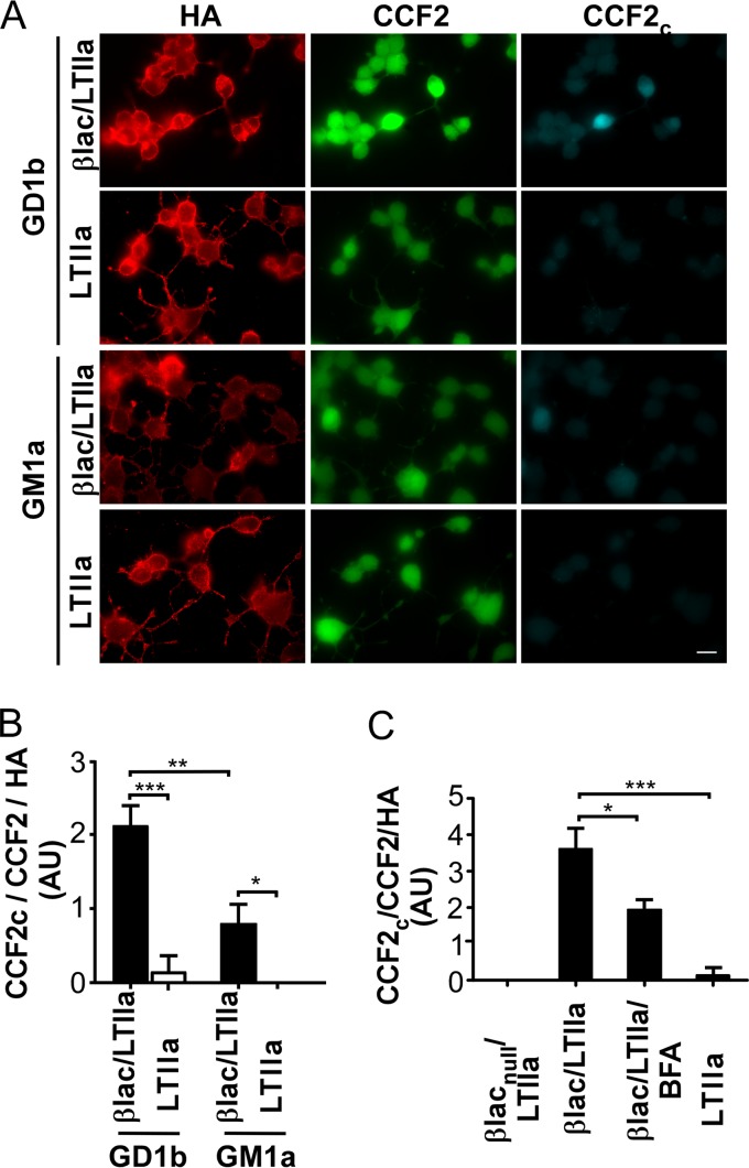 FIG 4 