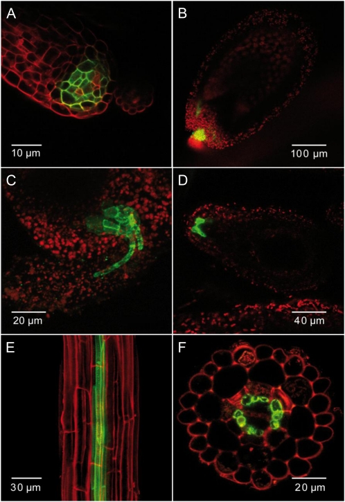 Figure 6.