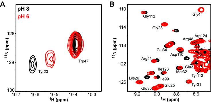 Fig 5