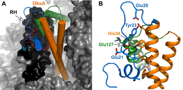 Fig 2