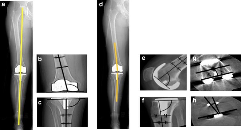 Fig. 3