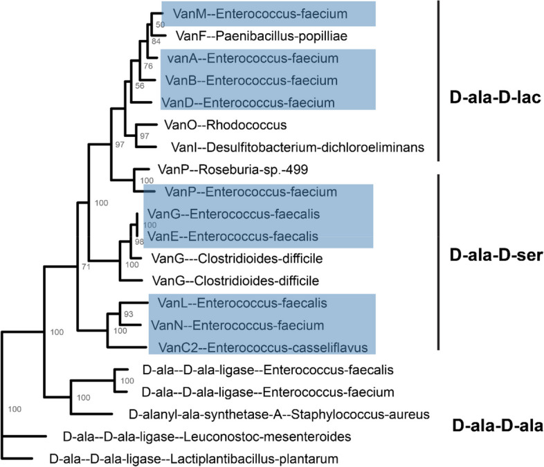 Fig. 2