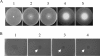 FIG. 3.