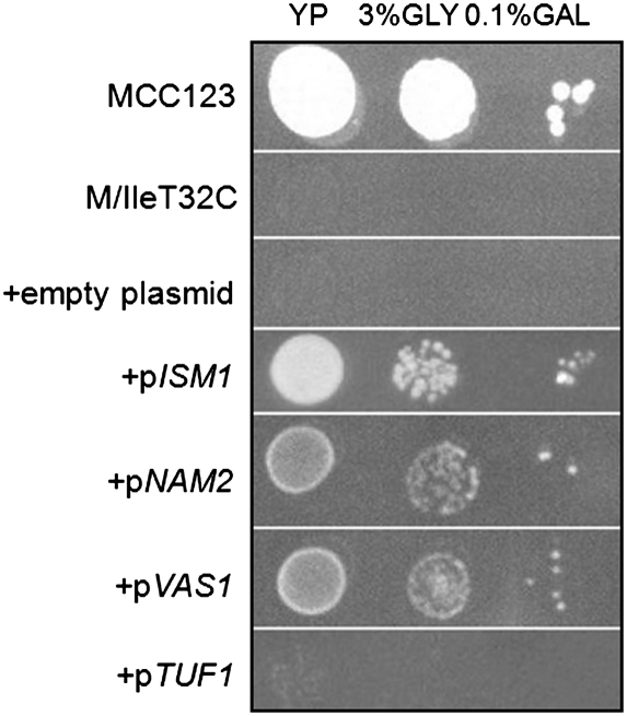 FIGURE 4.