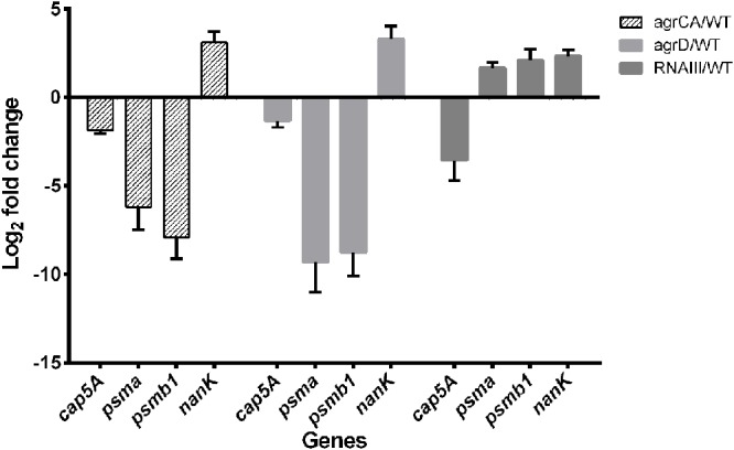 FIGURE 3