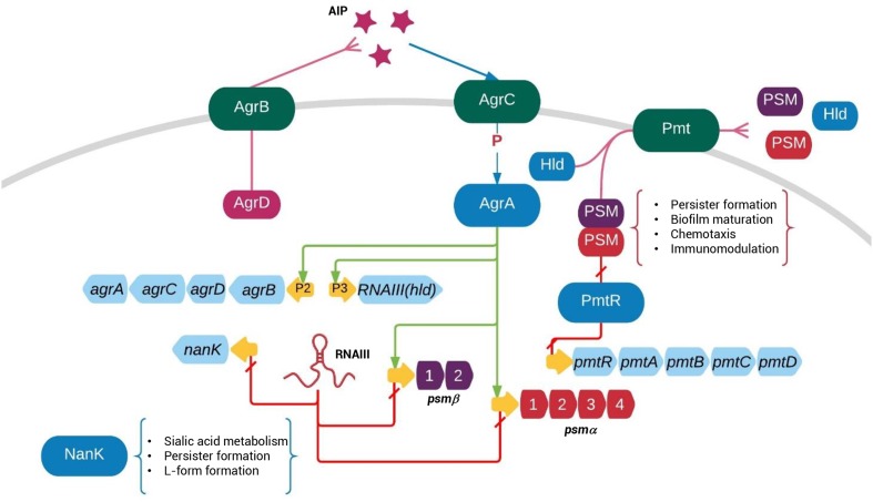 FIGURE 6