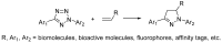 Scheme 5